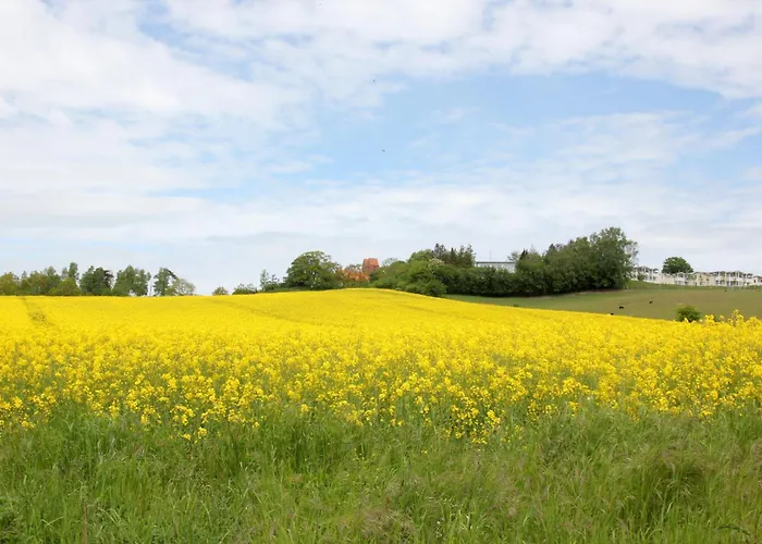 Apartment Karola 15 Mit Gratis Nutzung Vom Ahoi Erlebnisbad Und Sauna In Sellin *